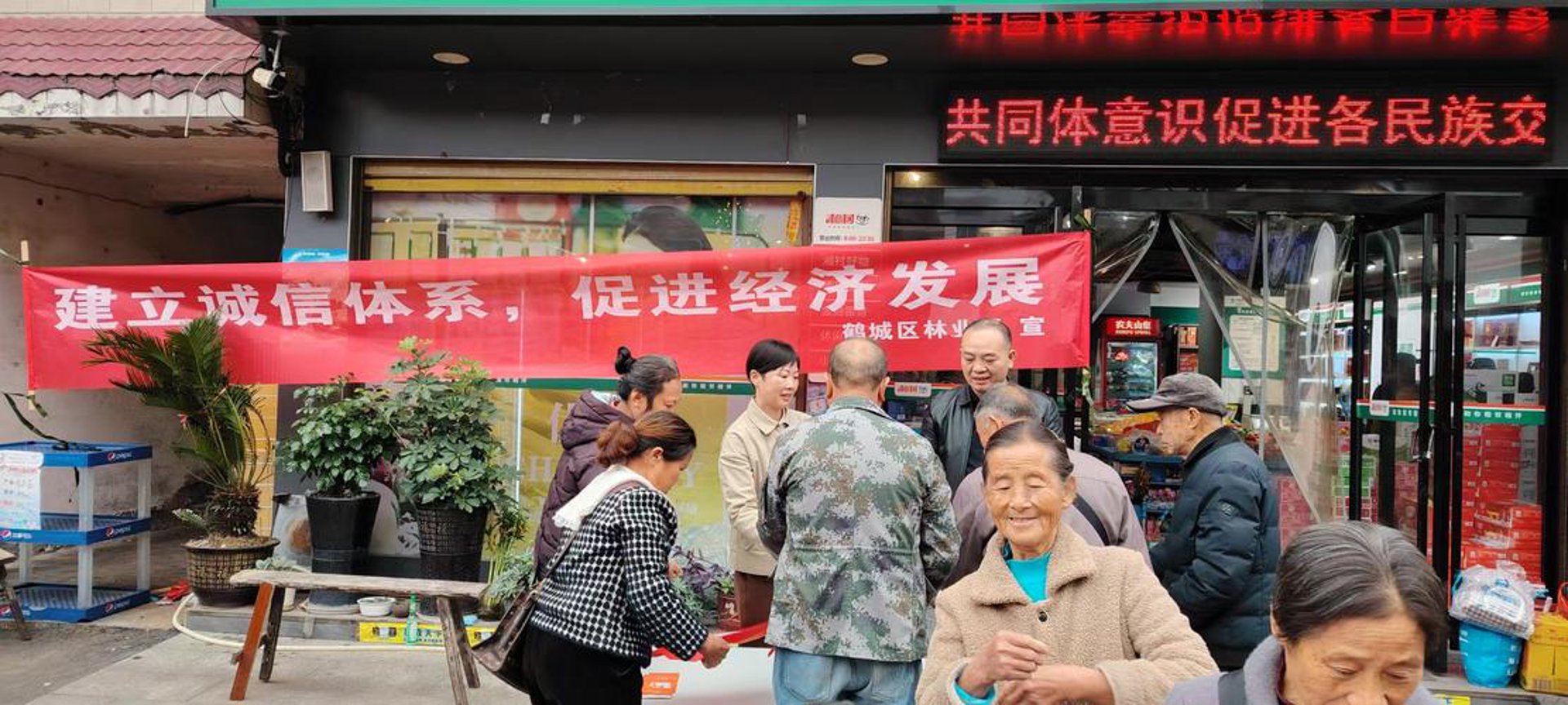 民生林业网